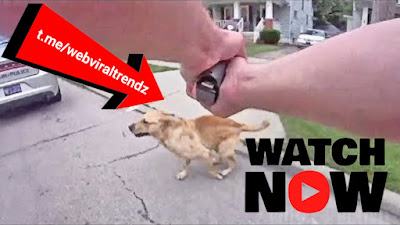 cop shoots golden retriever, ohio cop shoots dog