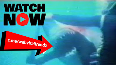 henri bource shark attack, henri bource cause