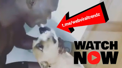 israel adesanya dog reddit, israel adesanya dog