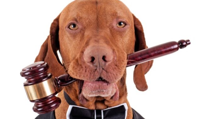 11th Circuit Protects Dogs Over Black People