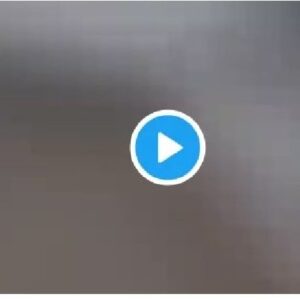 New Nails And Kitty Video Lily Natty Showing Her Nails Twitter