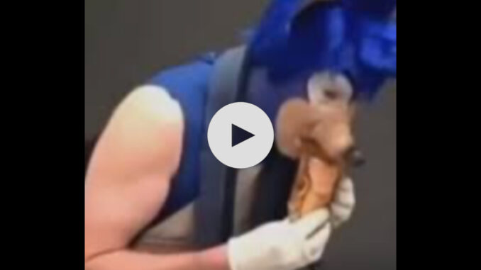 (Watch Full) Sonic Cosplay Video Viral On Social Media
