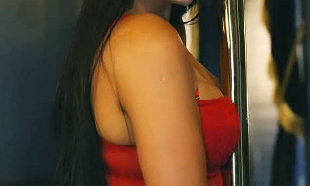 HMP Wandsworth Female Prison Guard Caught on Video Engaging in S*x Activity with Inmate –