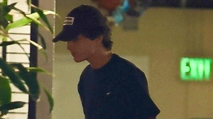 Timothee Chalamet Goes Incognito During Trip to Beverly Hills Hotel | Timothee Chalamet | Just Jared: Celebrity News and Gossip
